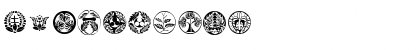 Kurusu Medium Font Kurusu Medium Font