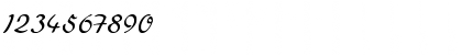 Levator Normal Font