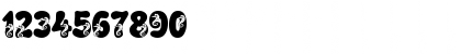 LMS Coral Colt Regular Font