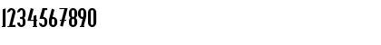 Locus Bold Font