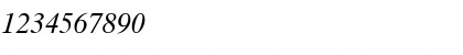 MAC C Times Italic Font MAC C Times Italic Font