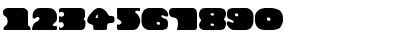 New Regular Font
