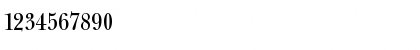NewBaskerThin Normal Font NewBaskerThin Normal Font