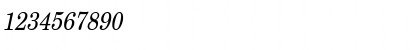 NewBostonCondensed Italic Font