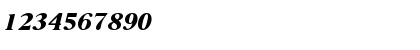 NimbusRomDExtBolItaRo1 Regular Font NimbusRomDExtBolItaRo1 Regular Font