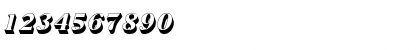 NimbusRomDExtBolItaSh1 Regular Font NimbusRomDExtBolItaSh1 Regular Font