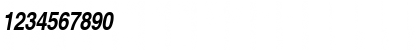 NimbusSanLTUCon Bold Italic Font NimbusSanLTUCon Bold Italic Font