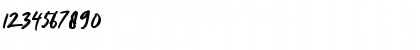 Nocturnal Regular Font Nocturnal Regular Font