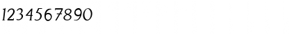 Perspicacious Italic Light Font