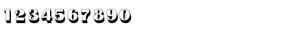 BinnerDSh1 Regular Font BinnerDSh1 Regular Font