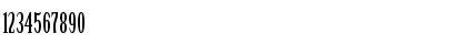 Birch Regular Font Birch Regular Font