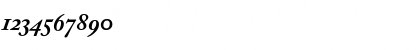 ACaslonExp Bold Italic Font