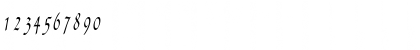 AgincortCondensed Italic Font AgincortCondensed Italic Font
