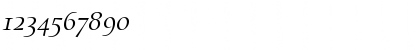 Alias UnionSC Regular Italic Regular Font Alias UnionSC Regular Italic Regular Font