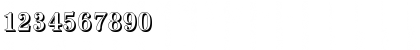 AntiquaSh-Cd-Medium Regular Font AntiquaSh-Cd-Medium Regular Font