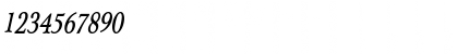 Array-Condensed Bold Italic Font Array-Condensed Bold Italic Font