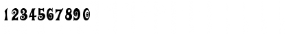 Auction Regular Font Auction Regular Font