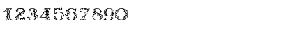 Antique Regular Font