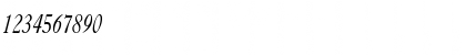 CasqueCondensed Italic Font CasqueCondensed Italic Font