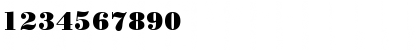 Bodoni Black Regular Font Bodoni Black Regular Font