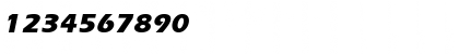 ErgoeExtrabold Italic Font