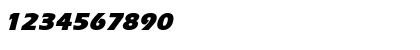 ErgoeMildBlack Italic Font ErgoeMildBlack Italic Font