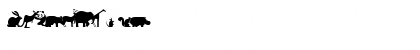 International Regular Font International Regular Font