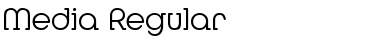 Download Media Font