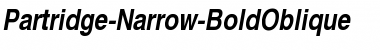 Partridge-Narrow-BoldOblique Regular Font