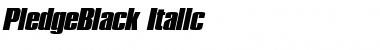PledgeBlack Italic Font