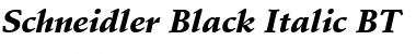 Schneidler Blk BT Black Italic