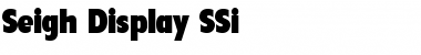 Seigh Display SSi Regular Font