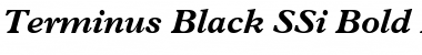 Terminus Black SSi Bold Italic