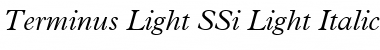 Terminus Light SSi Font