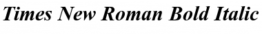 Times New Roman Bold Italic Font