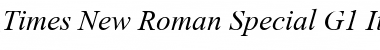 Times New Roman Special G1 Italic Font