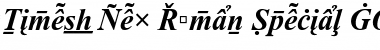 Times New Roman Special G2 Font