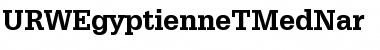 URWEgyptienneTMedNar Regular Font