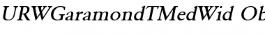 URWGaramondTMedWid Font