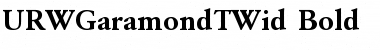 URWGaramondTWid Font