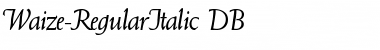 Waize DB RegularItalic Font
