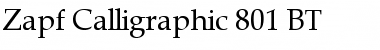 ZapfCalligr BT Roman Font