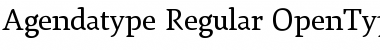 Agendatype&nbsp;Regular