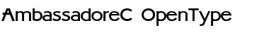AmbassadoreC Regular AmbassadoreC Regular