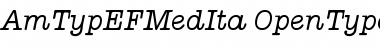 Download AmTypEFMedIta Font Download AmTypEFMedIta Font