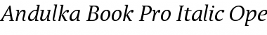 Andulka Book Pro Italic Font