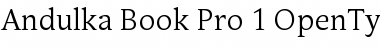 Andulka Book Pro Regular Font