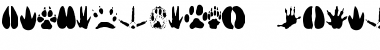 Download AnimalTracks Font Download AnimalTracks Font