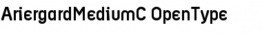 Download AriergardMediumC Font Download AriergardMediumC Font