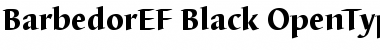 Download BarbedorEF-Black Font